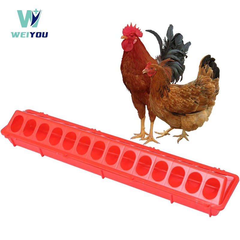 Plastic poultry feeding mahabang labangan